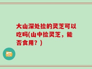 大山深处捡的灵芝可以吃吗(山中捡灵芝，能否食用？)
