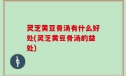 灵芝黄豆骨汤有什么好处(灵芝黄豆骨汤的益处)