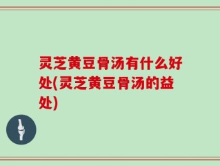 灵芝黄豆骨汤有什么好处(灵芝黄豆骨汤的益处)