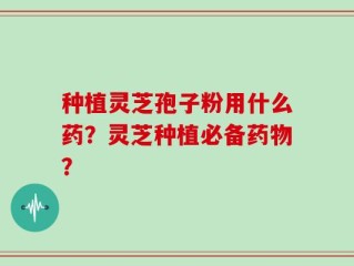 种植灵芝孢子粉用什么药？灵芝种植必备药物？