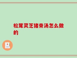 松茸灵芝猪骨汤怎么做的