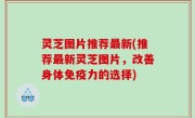灵芝图片推荐最新(推荐最新灵芝图片，改善身体免疫力的选择)