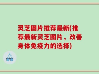 灵芝图片推荐最新(推荐最新灵芝图片，改善身体免疫力的选择)