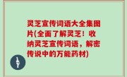 灵芝宣传词语大全集图片(全面了解灵芝！收纳灵芝宣传词语，解密传说中的万能药材)