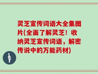 灵芝宣传词语大全集图片(全面了解灵芝！收纳灵芝宣传词语，解密传说中的万能药材)