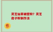 灵芝仙草破壁粉？灵芝孢子粉制作法
