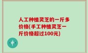 人工种植灵芝的一斤多价格(手工种植灵芝一斤价格超过100元)