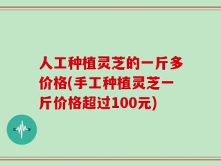 人工种植灵芝的一斤多价格(手工种植灵芝一斤价格超过100元)