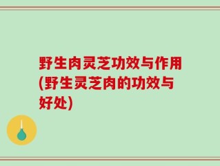 野生肉灵芝功效与作用(野生灵芝肉的功效与好处)