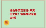 进山采灵芝东北(采灵芝之旅：徜徉神秘东北山林)