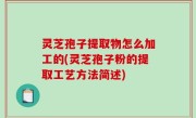 灵芝孢子提取物怎么加工的(灵芝孢子粉的提取工艺方法简述)
