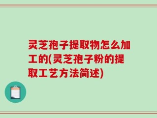 灵芝孢子提取物怎么加工的(灵芝孢子粉的提取工艺方法简述)