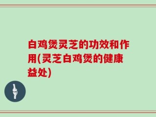 白鸡煲灵芝的功效和作用(灵芝白鸡煲的健康益处)
