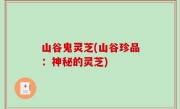 山谷鬼灵芝(山谷珍品：神秘的灵芝)