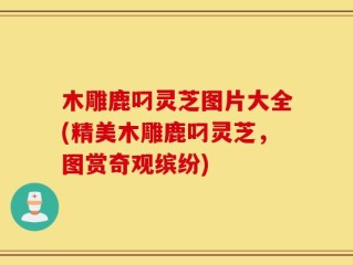 木雕鹿叼灵芝图片大全(精美木雕鹿叼灵芝，图赏奇观缤纷)