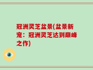 冠洲灵芝盆景(盆景新宠：冠洲灵芝达到巅峰之作)