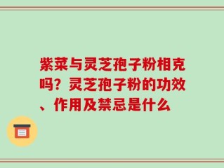 紫菜与灵芝孢子粉相克吗？灵芝孢子粉的功效、作用及禁忌是什么