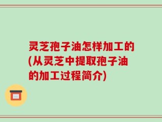 灵芝孢子油怎样加工的(从灵芝中提取孢子油的加工过程简介)