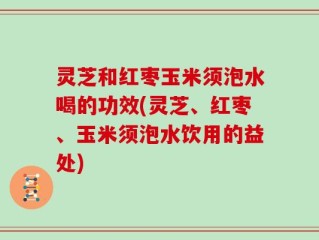 灵芝和红枣玉米须泡水喝的功效(灵芝、红枣、玉米须泡水饮用的益处)
