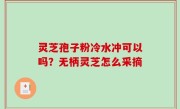灵芝孢子粉冷水冲可以吗？无柄灵芝怎么采摘