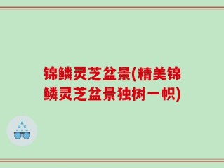 锦鳞灵芝盆景(精美锦鳞灵芝盆景独树一帜)
