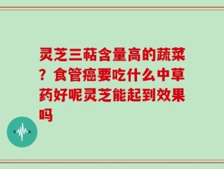 灵芝三萜含量高的蔬菜？食管癌要吃什么中草药好呢灵芝能起到效果吗