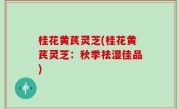 桂花黄芪灵芝(桂花黄芪灵芝：秋季祛湿佳品)