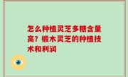 怎么种植灵芝多糖含量高？椴木灵芝的种植技术和利润