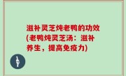 滋补灵芝炖老鸭的功效(老鸭炖灵芝汤：滋补养生，提高免疫力)