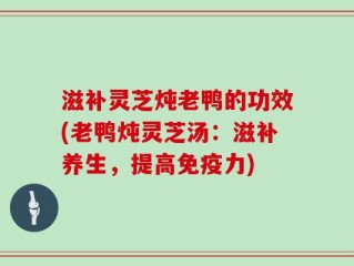 滋补灵芝炖老鸭的功效(老鸭炖灵芝汤：滋补养生，提高免疫力)