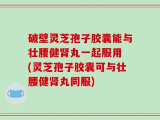 破壁灵芝孢子胶囊能与壮腰健肾丸一起服用 (灵芝孢子胶囊可与壮腰健肾丸同服)