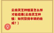 云南灵芝种植苗怎么样才能结果(云南灵芝种植：如何获得丰硕的收成？)