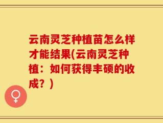 云南灵芝种植苗怎么样才能结果(云南灵芝种植：如何获得丰硕的收成？)