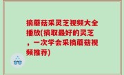 摘蘑菇采灵芝视频大全播放(摘取最好的灵芝，一次学会采摘蘑菇视频推荐)
