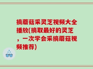 摘蘑菇采灵芝视频大全播放(摘取最好的灵芝，一次学会采摘蘑菇视频推荐)