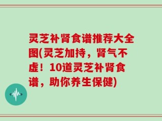 灵芝补肾食谱推荐大全图(灵芝加持，肾气不虚！10道灵芝补肾食谱，助你养生保健)