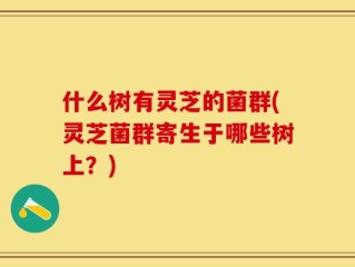 什么树有灵芝的菌群(灵芝菌群寄生于哪些树上？)