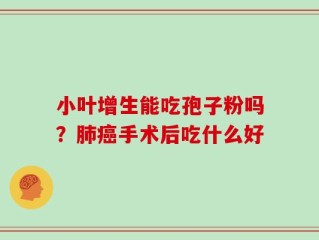 小叶增生能吃孢子粉吗？肺癌手术后吃什么好