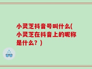 小灵芝抖音号叫什么(小灵芝在抖音上的昵称是什么？)