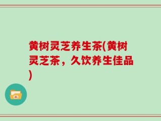 黄树灵芝养生茶(黄树灵芝茶，久饮养生佳品)