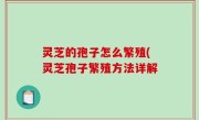 灵芝的孢子怎么繁殖(灵芝孢子繁殖方法详解