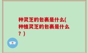 种灵芝的包裹是什么(种植灵芝的包裹是什么？)