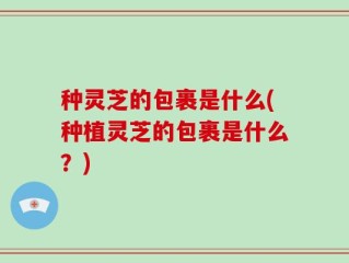 种灵芝的包裹是什么(种植灵芝的包裹是什么？)
