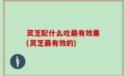 灵芝配什么吃最有效果(灵芝最有效的)
