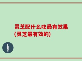 灵芝配什么吃最有效果(灵芝最有效的)