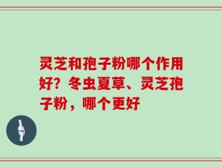 灵芝和孢子粉哪个作用好？冬虫夏草、灵芝孢子粉，哪个更好