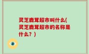 灵芝鹿茸超市叫什么(灵芝鹿茸超市的名称是什么？)