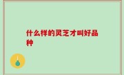 什么样的灵芝才叫好品种