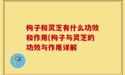 枸子和灵芝有什么功效和作用(枸子与灵芝的功效与作用详解