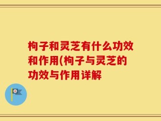 枸子和灵芝有什么功效和作用(枸子与灵芝的功效与作用详解